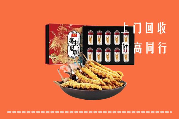 泉州市回收虫草
